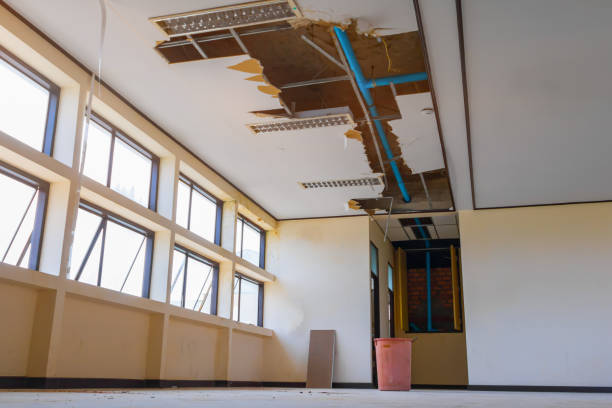 Best 24/7 water damage repair  in San Leandro, CA