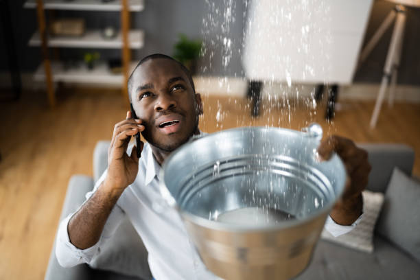 Best Mold removal after water damage  in San Leandro, CA
