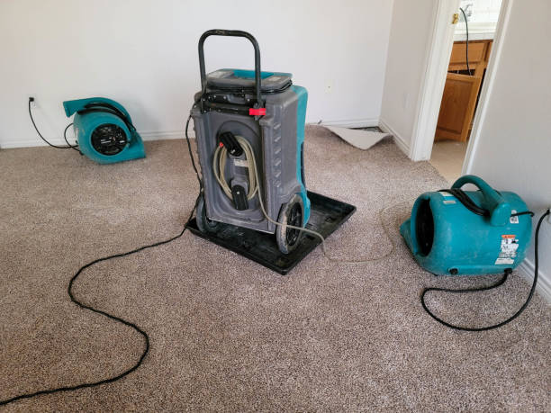 Best Water damage restoration near me  in San Leandro, CA