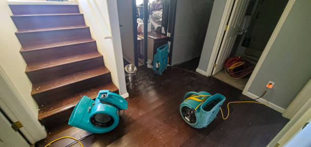 Best Basement water damage restoration  in San Leandro, CA