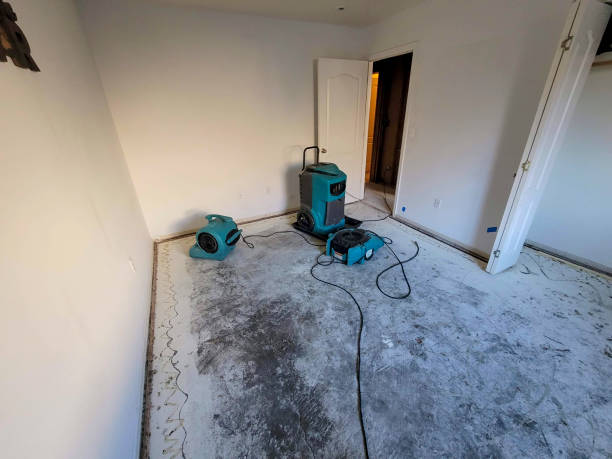 Best Emergency water damage restoration  in San Leandro, CA