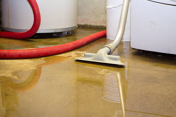Best Flooded house restoration  in San Leandro, CA