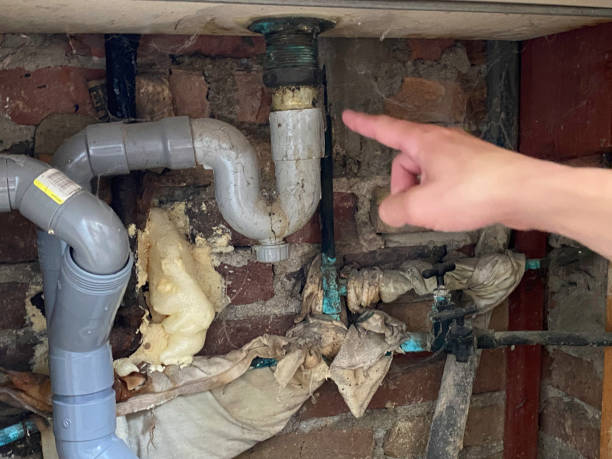 Best 24/7 water damage repair  in San Leandro, CA