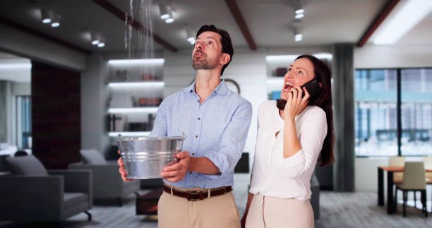 Best Local water damage restoration  in San Leandro, CA
